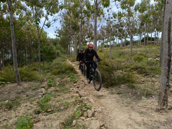 Mountain bike tour - Imagen 11